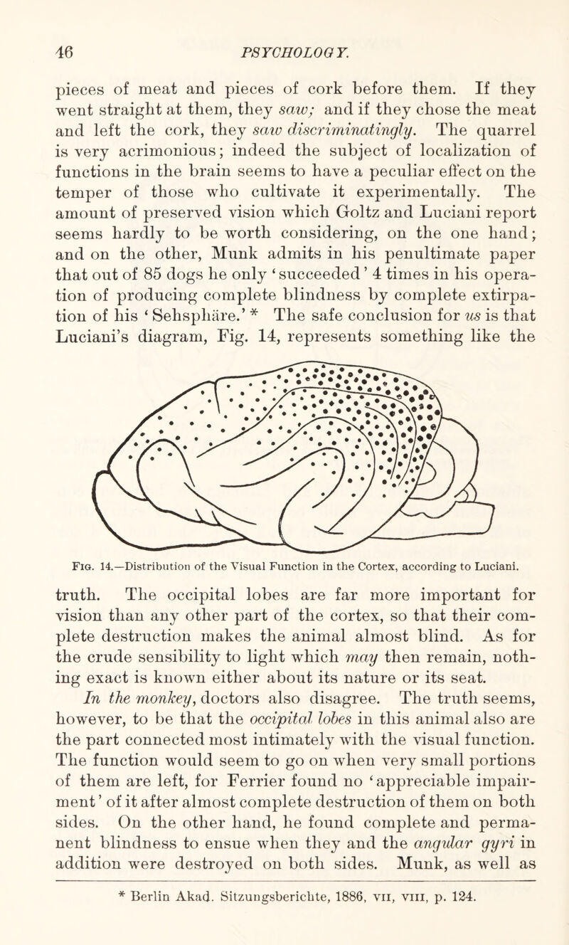 pieces of meat and pieces of cork before them. If they went straight at them, they sciiv; and if they chose the meat and left the cork, they saw discriminatingly. The quarrel is very acrimonious; indeed the subject of localization of functions in the brain seems to have a peculiar effect on the temper of those who cultivate it experimentally. The amount of preserved vision which Goltz and Luciani report seems hardly to be worth considering, on the one hand; and on the other, Munk admits in his penultimate paper that out of 85 dogs he only ‘ succeeded ’ 4 times in his opera¬ tion of producing complete blindness by complete extirpa¬ tion of his ‘ Sehsphare.’ * The safe conclusion for us is that Luciani’s diagram, Fig. 14, represents something like the Fig. 14.—Distribution of the Visual Function in the Cortex, according to Luciani. truth. The occipital lobes are far more important for vision than any other part of the cortex, so that their com¬ plete destruction makes the animal almost blind. As for the crude sensibility to light which may then remain, noth¬ ing exact is known either about its nature or its seat. In the monkey, doctors also disagree. The truth seems, however, to be that the occipital lobes in this animal also are the part connected most intimately with the visual function. The function would seem to go on when very small portions of them are left, for Ferrier found no ‘ appreciable impair¬ ment ’ of it after almost complete destruction of them on both sides. On the other hand, he found complete and perma¬ nent blindness to ensue when they and the angular gyri in addition were destroyed on both sides. Munk, as well as * Berlin Akad. Sitzungsberickte, 1886, vn, viii, p. 124.