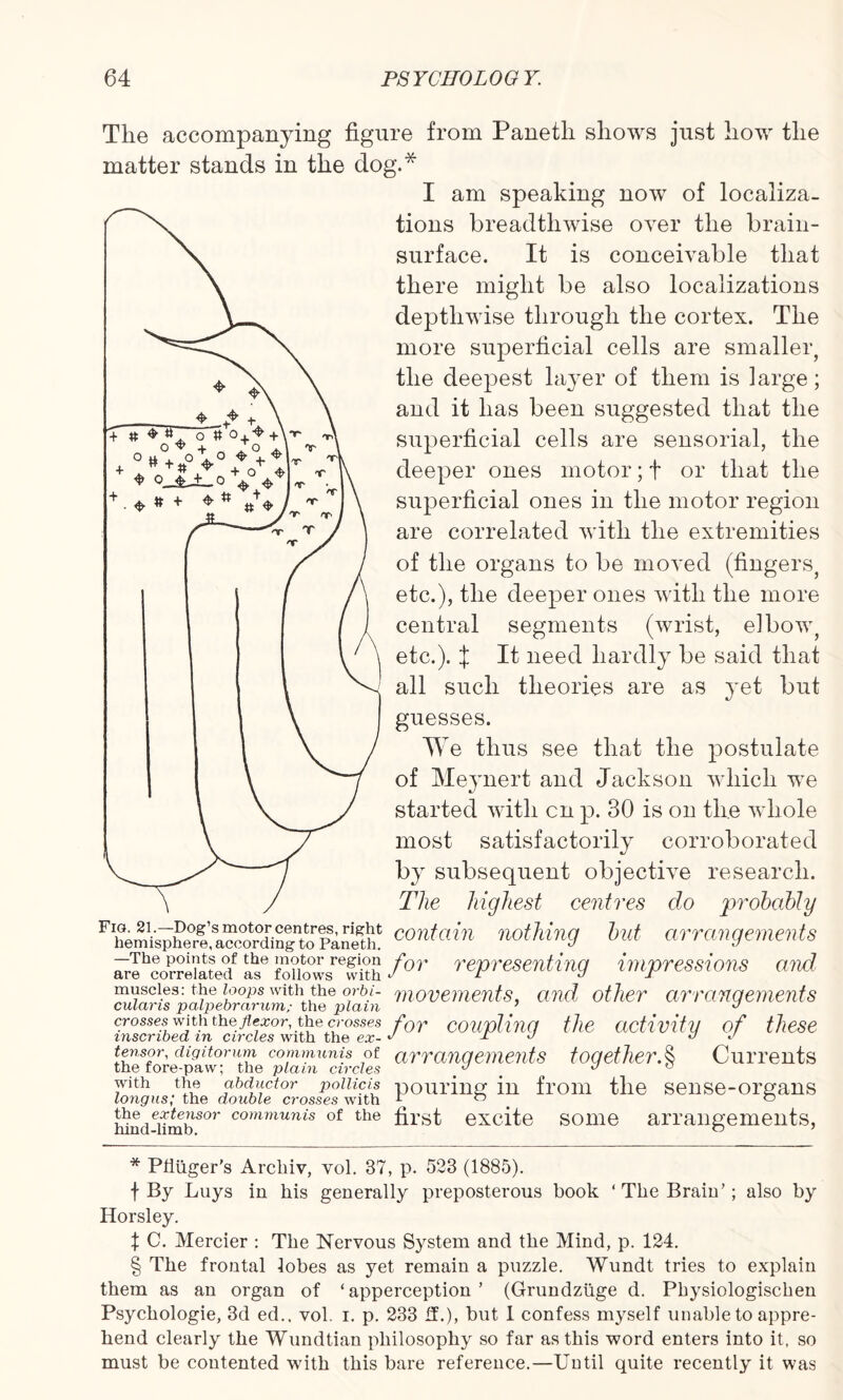 The accompanying figure from Panetli shows just how the matter stands in the dog.* * * § I am speaking now of localiza¬ tions breadthwise over the brain- surface. It is conceivable that there might be also localizations deptliwise through the cortex. The more superficial cells are smaller, the deepest layer of them is large; and it has been suggested that the superficial cells are sensorial, the deeper ones motor; t or that the superficial ones in the motor region are correlated with the extremities of the organs to be moved (fingers, etc.), the deeper ones with the more central segments (wrist, elbow, etc.). X If need hardly be said that all such theories are as yet but guesses. We thus see that the postulate of Meynert and Jackson which we started with cn p. 30 is on the whole most satisfactorily corroborated by subsequent objective research. The highest centres do probably ^hemVsphere'^a^o^rdingto'^an^h! contain nothing hit arrangements ^hceoSt8e°df IT fonowsrefvUh for representing impressions and muscles: the loops with the orbi- movements, and other arrangements culams palpebrarum; the plain ’ crosses with the flexor, the crosses for coupling the activity of these inscribed m circles with the ex- J Jr j z j tensor, digitorum communis of arrangements together.§ Currents the fore-paw; the plain circles . . v ° 7ith abductor poiiicis pouring in from the sense-organs longus; the double crosses with r ” . ° Mud^limbs°r communis of the first excite some arrangements, * Ptiuger’s Archiv, vol. 87, p. 528 (1885). f By Luys in his generally preposterous book ‘The Brain’; also by Horsley. \ C. Mercier : The Nervous System and the Mind, p. 124. § The frontal lobes as yet remain a puzzle. Wundt tries to explain them as an organ of ‘apperception ’ (Grundzuge d. Physiologischen Psychologie, 3d ed., vol. i. p. 233 ff.), but 1 confess myself unable to appre¬ hend clearly the Wundtian philosophy so far as this word enters into it, so must be contented with this bare reference.—Until quite recently it was