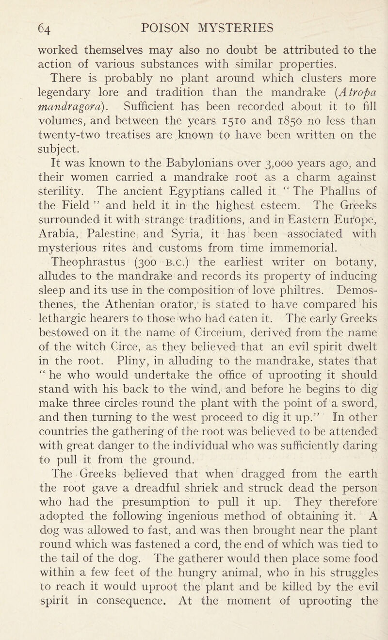 worked themselves may also no doubt be attributed to the action of various substances with similar properties. There is probably no plant around which clusters more legendary lore and tradition than the mandrake (.Atropa mandragora). Sufficient has been recorded about it to fill volumes, and between the years 1510 and 1850 no less than twenty-two treatises are known to have been written on the subject. It was known to the Babylonians over 3,000 years ago, and their women carried a mandrake root as a charm against sterility. The ancient Egyptians called it “ The Phallus of the Field ” and held it in the highest esteem. The Greeks surrounded it with strange traditions, and in Eastern Europe, Arabia, Palestine and Syria, it has been associated with mysterious rites and customs from time immemorial. Theophrastus (300 b.c.) the earliest writer on botany, alludes to the mandrake and records its property of inducing sleep and its use in the composition of love philtres. Demos¬ thenes, the Athenian orator, is stated to have compared his lethargic hearers to those who had eaten it. The early Greeks bestowed on it the name of Circeium, derived from the name of the witch Circe, as they believed that an evil spirit dwelt in the root. Pliny, in alluding to the mandrake, states that “ he who would undertake the office of uprooting it should stand with his back to the wind, and before he begins to dig make three circles round the plant with the point of a sword, and then turning to the west proceed to dig it up.” In other countries the gathering of the root was believed to be attended with great danger to the individual who was sufficiently daring to pull it from the ground. The Greeks believed that when dragged from the earth the root gave a dreadful shriek and struck dead the person who had the presumption to pull it up. They therefore adopted the following ingenious method of obtaining it. A dog was allowed to fast, and was then brought near the plant round which was fastened a cord, the end of which was tied to the tail of the dog. The gatherer would then place some food within a few feet of the hungry animal, who in his struggles to reach it would uproot the plant and be killed by the evil spirit in consequence. At the moment of uprooting the