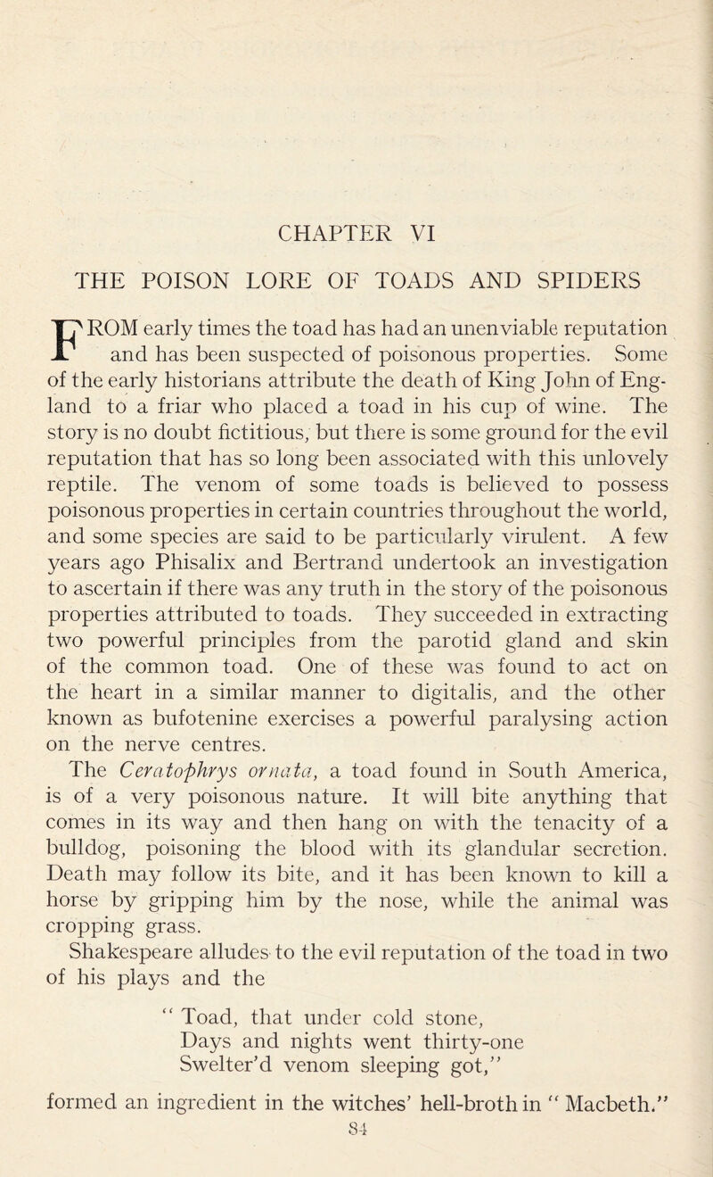 THE POISON LORE OF TOADS AND SPIDERS FROM early times the toad has had an unenviable reputation and has been suspected of poisonous properties. Some of the early historians attribute the death of King John of Eng¬ land to a friar who placed a toad in his cup of wine. The story is no doubt fictitious, but there is some ground for the evil reputation that has so long been associated with this unlovely reptile. The venom of some toads is believed to possess poisonous properties in certain countries throughout the world, and some species are said to be particularly virulent. A few years ago Phisalix and Bertrand undertook an investigation to ascertain if there was any truth in the story of the poisonous properties attributed to toads. They succeeded in extracting two powerful principles from the parotid gland and skin of the common toad. One of these was found to act on the heart in a similar manner to digitalis, and the other known as bufotenine exercises a powerful paralysing action on the nerve centres. The Ceratophrys ornata, a toad found in South America, is of a very poisonous nature. It will bite anything that comes in its way and then hang on with the tenacity of a bulldog, poisoning the blood with its glandular secretion. Death may follow its bite, and it has been known to kill a horse by gripping him by the nose, while the animal was cropping grass. Shakespeare alludes to the evil reputation of the toad in two of his plays and the “ Toad, that under cold stone, Days and nights went thirty-one Swelter’d venom sleeping got,” formed an ingredient in the witches’ hell-broth in “ Macbeth.”
