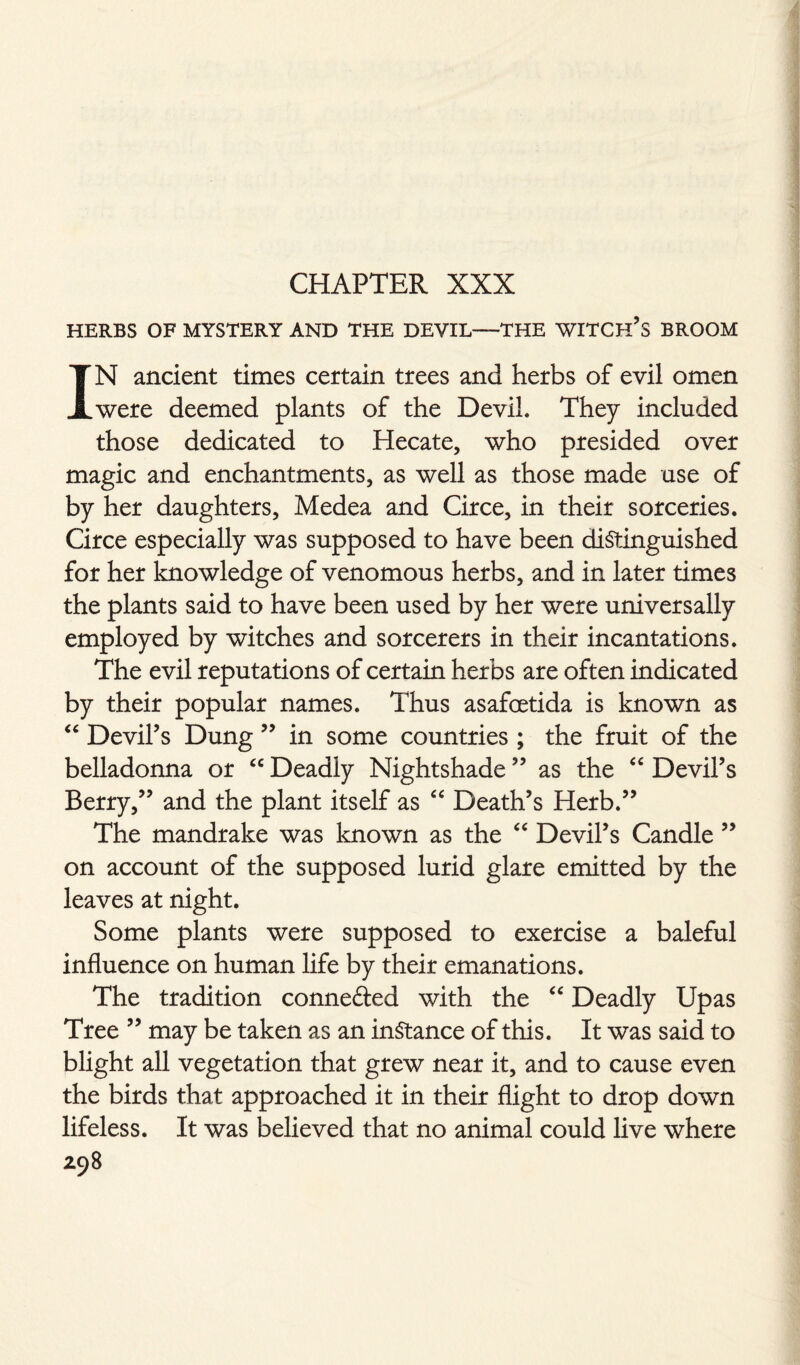 HERBS OF MYSTERY AND THE DEVIL—THE WITCH’S BROOM IN ancient times certain trees and herbs of evil omen were deemed plants of the Devil. They included those dedicated to Hecate, who presided over magic and enchantments, as well as those made use of by her daughters, Medea and Circe, in their sorceries. Circe especially was supposed to have been distinguished for her knowledge of venomous herbs, and in later times the plants said to have been used by her were universally employed by witches and sorcerers in their incantations. The evil reputations of certain herbs are often indicated by their popular names. Thus asafcetida is known as “ Devil’s Dung ” in some countries ; the fruit of the belladonna or cc Deadly Nightshade ” as the “ Devil’s Berry,” and the plant itself as “ Death’s Herb.” The mandrake was known as the “ Devil’s Candle ” on account of the supposed lurid glare emitted by the leaves at night. Some plants were supposed to exercise a baleful influence on human life by their emanations. The tradition conne&ed with the “ Deadly Upas Tree ” may be taken as an instance of this. It was said to blight all vegetation that grew near it, and to cause even the birds that approached it in their flight to drop down lifeless. It was believed that no animal could live where