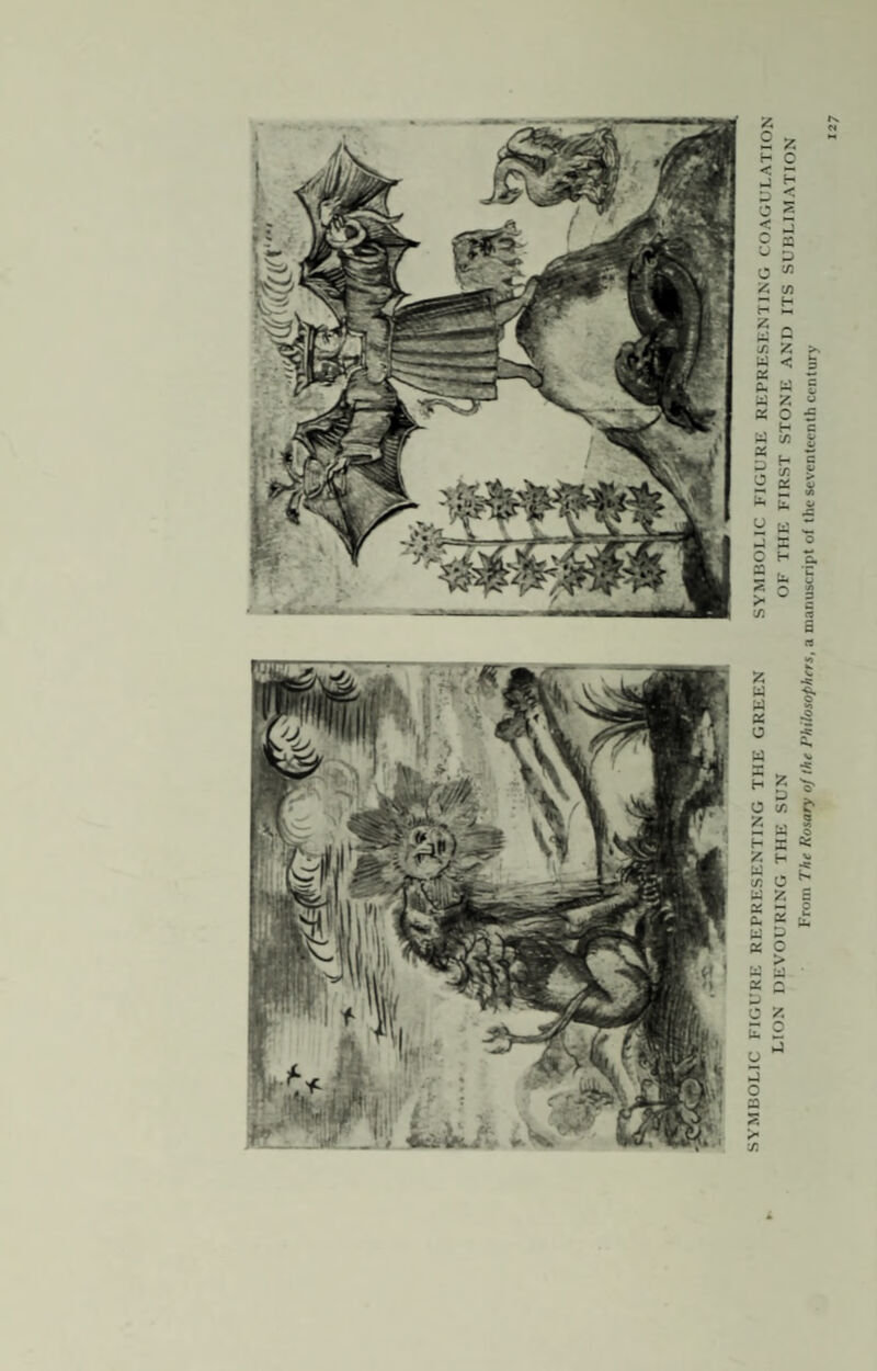 I IOLRK REPRESENTING THE GREEN SYMBOLIC FIGURE REPRESENTING COAGULATION LION DEVOURING THE SUN OF THE FIRST STONE AND ITS SUBLIMATION From The Rosary of the Philosophers, a manuscript of the seventeenth century