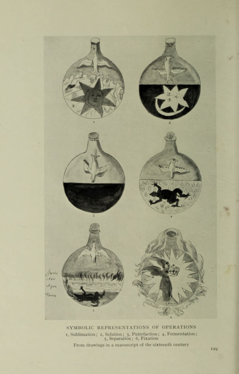 SYMBOLIC REPRESENTATIONS OF OPERATIONS i, Sublimation; 2, Solution; 3, Putrefaction; 4, Fermentation; 5, Separation; 6, Fixation From drawings in a manuscript of the sixteenth century