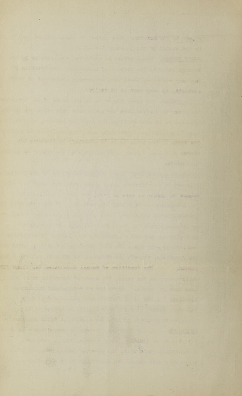 >• ■ ► .' ' : • - - - -y --- ? . w- V. . :?