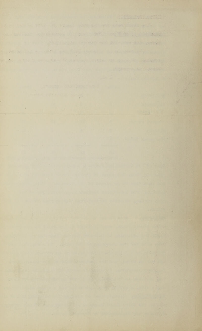 * * . ' . t ■ •«