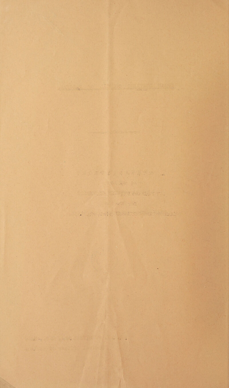 A . • i ■. r i ■ .