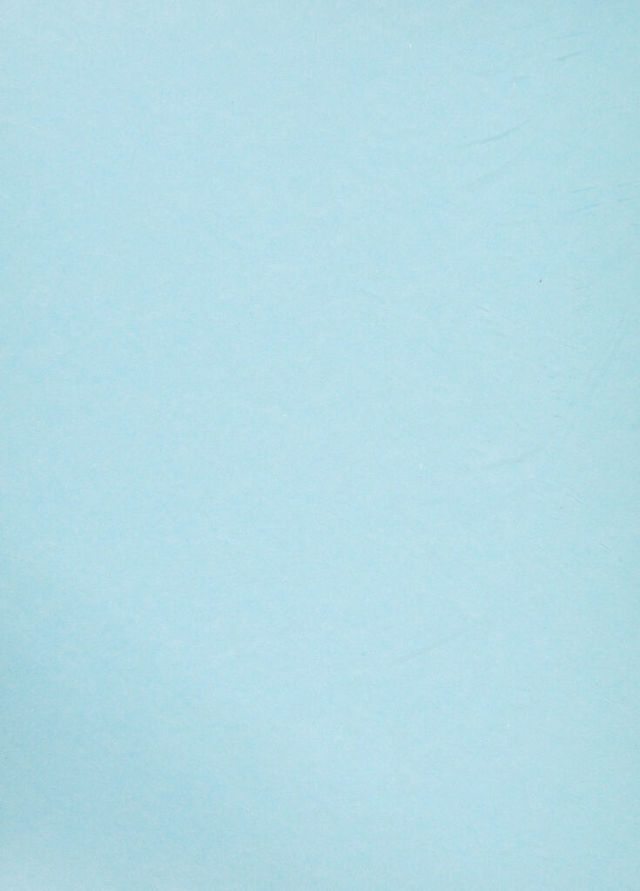 digitised image 2