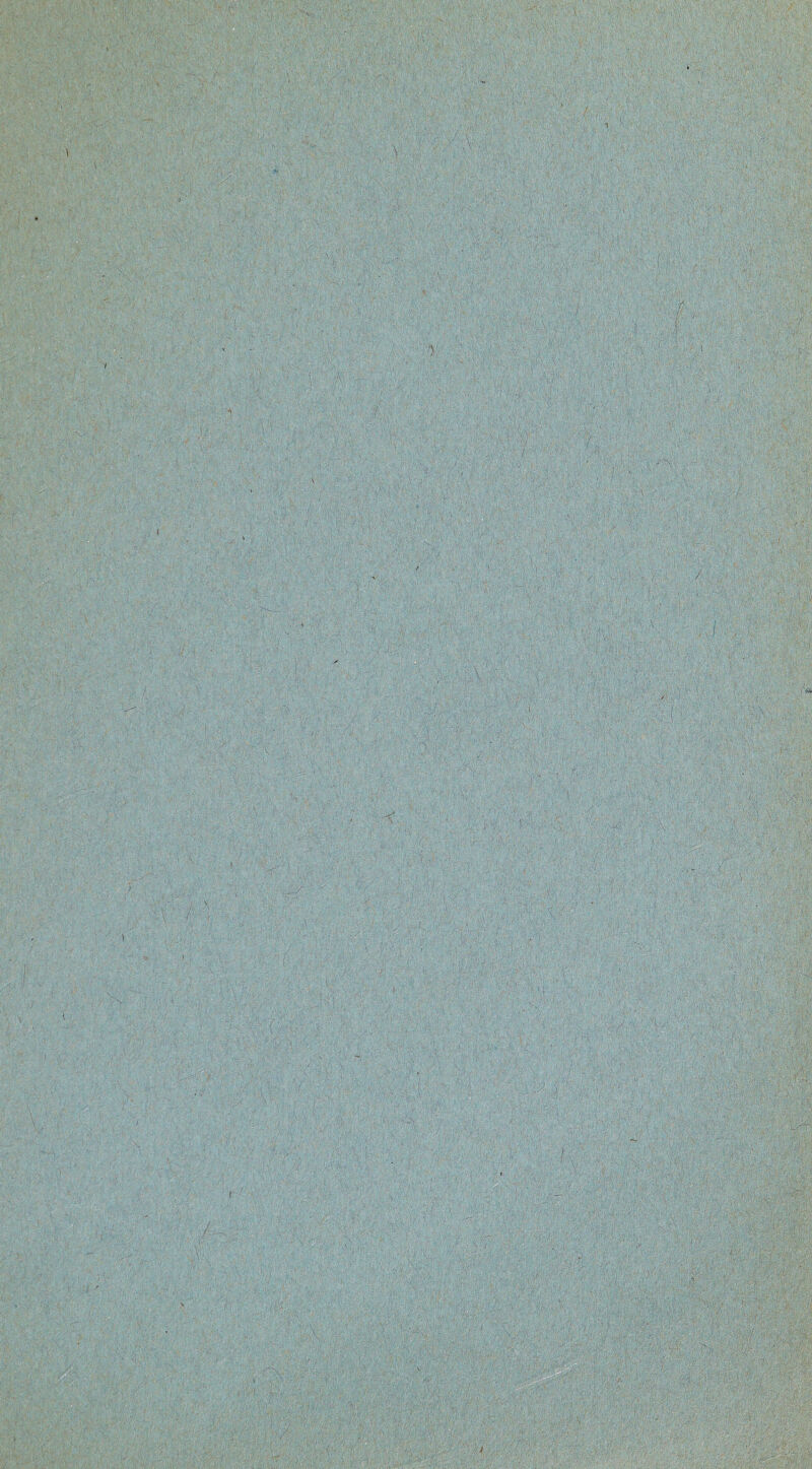 -V ,A; :/■' ' 'Vv: ?;%' v ‘S'ii'&f:.: if j> ; mm w- r S.«H| A1 'vVV. />■ ' ;/‘v •:• ’r; ' . •I ,..-.; >* fi 'Vv’.j l.'-'*' > /•Ai'V-X-it'* • ' ' ' £ ip . iMfi gangs; “ • V; §§- iW.V %;':•■ m mmm am. jmmm mwJA •V'.av ;>wV- i it! » ' !§ V . ; \ «- v j