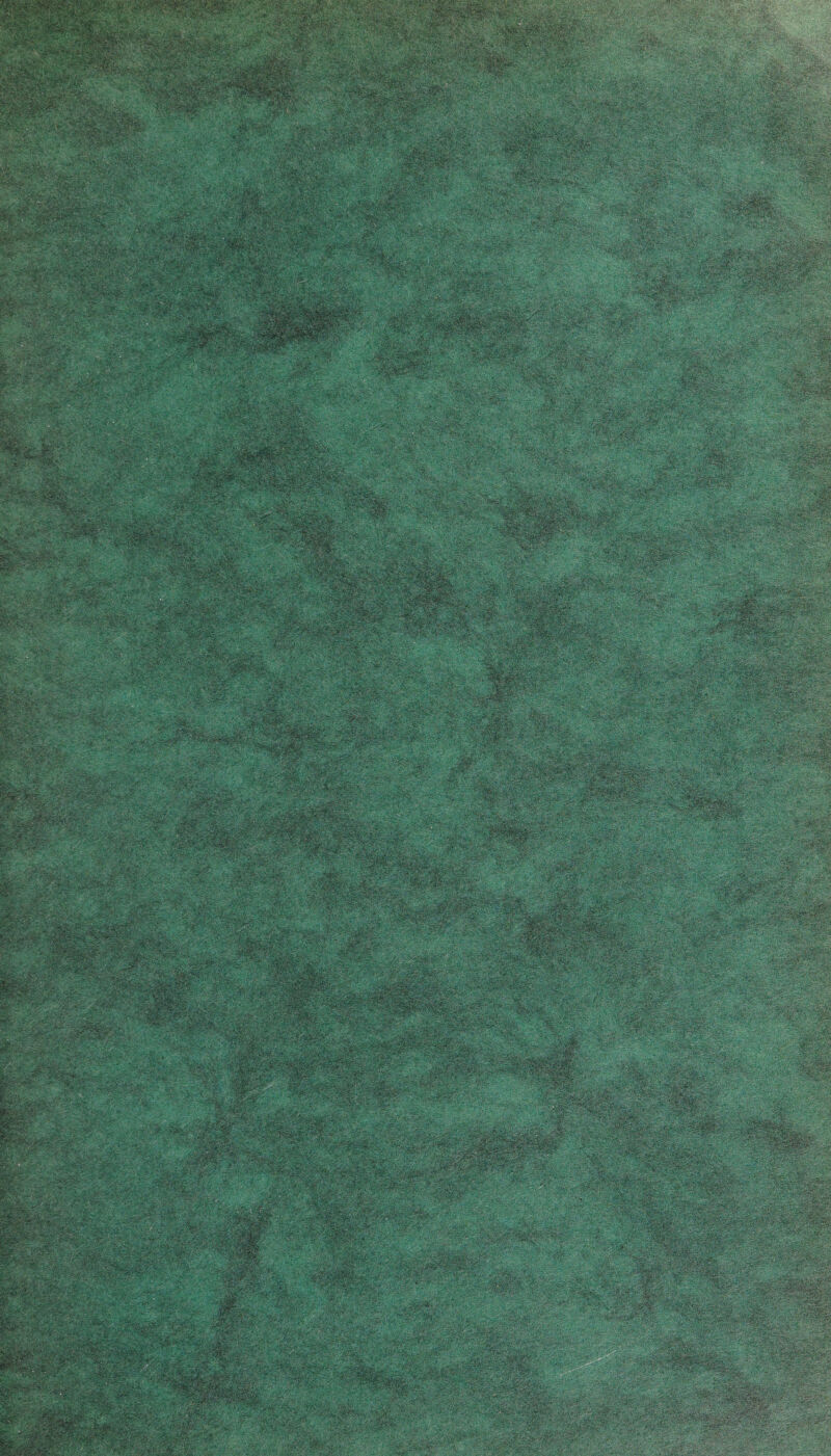 w Me jL , . . .,.. - lx  B' —iwaaafafegg ■ -'':m:mn^: :-' ::-^m- ■ :>Wsm sfc; rmmmM «fc sfs^ gH^fggSgggraj -. '■« 5'? S