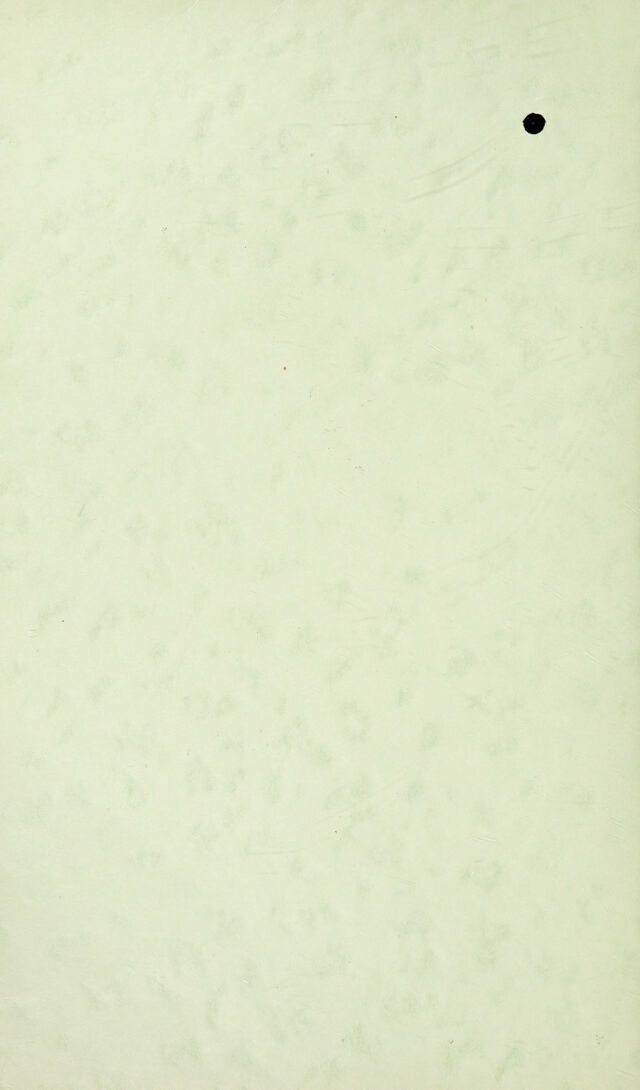 digitised image 2