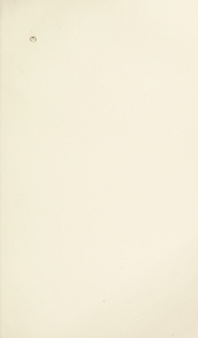 digitised image 3