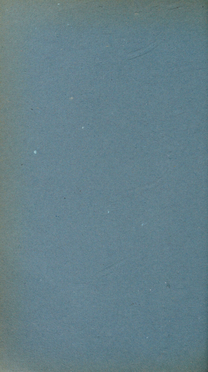 ,,'V>; is?/ ^ .,, •■■■ -'t-a-a'-a'-; rx..-<-:, ■'■' ■ ■''■'■ -,f-'iv''^:'V,'‘'' '' ■- '■ .''-a’v'--f'v-'.'' Tivaf- '^a-;: ■ '''• :?•, ^; v^:-.'’V-'-';;!;:v;'i’ra '*■ *\-'^ '- • '*•.*' '•'* ^' ''. y \ '• * '^'^ ** ■*'■■'.’ ''V'• v•' '^ *' ■ ' .k • ' *- *‘ ''. ■ '* .'