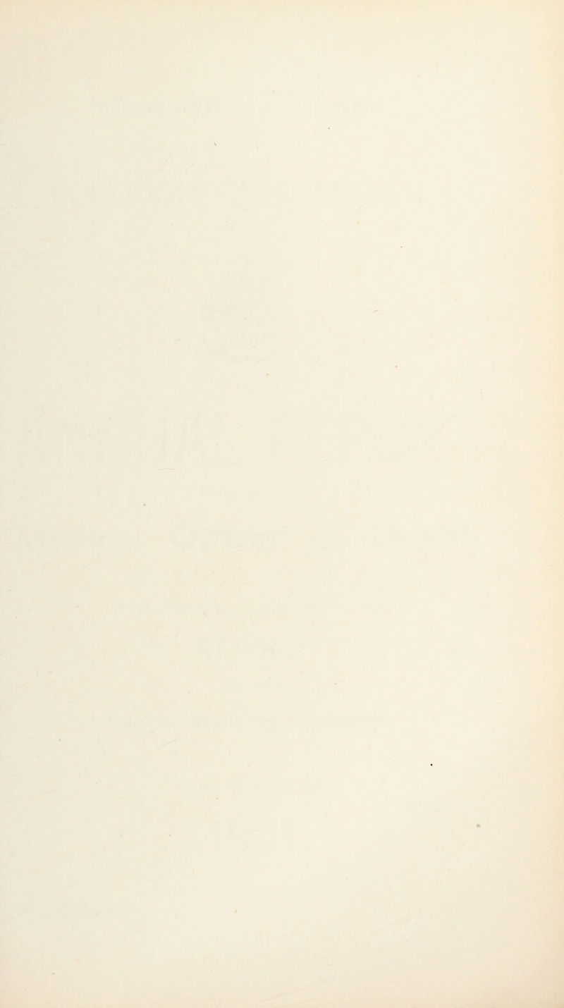 m PK I.V ‘r’ '■ A I I f I / I ■MT K y' V. ■V / ’' N ' V , f f ^ >- ■ 1 »^.- / t I -f' * '• \ 1 ■» It / t* fi.