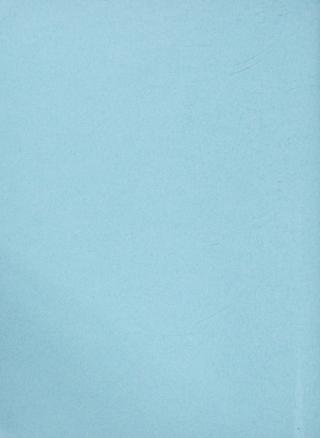 digitised image 2