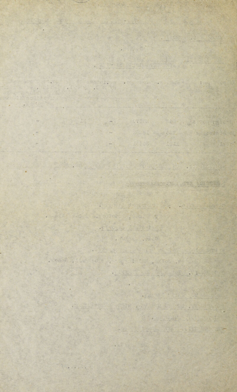 / 4- • ' ?-*'■:/ :■ . -• & V r1'* ‘ t “i; n * T * .....