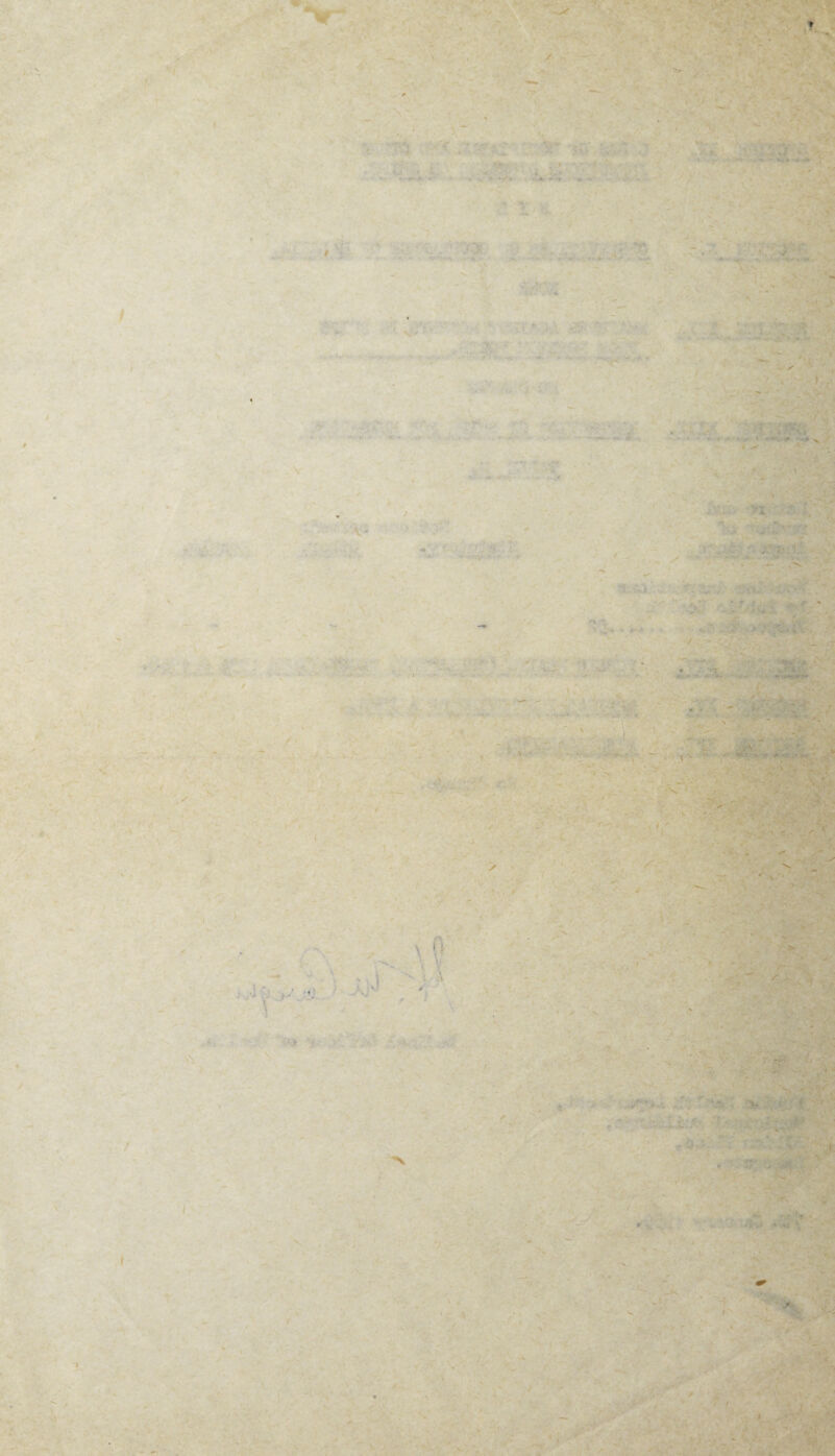 i- - ' * ji» *• V*' * |ifcr> * , - - *4 .+ A- y iS: y A, - * *• ••»