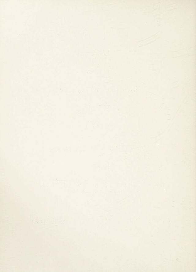 digitised image 2