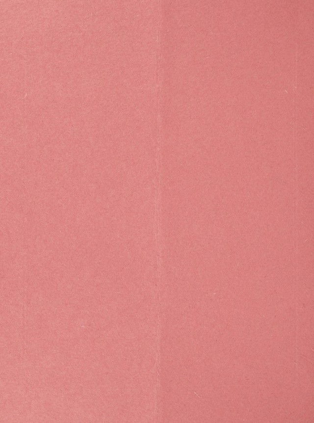digitised image 2