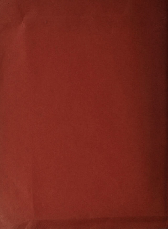 digitised image 2
