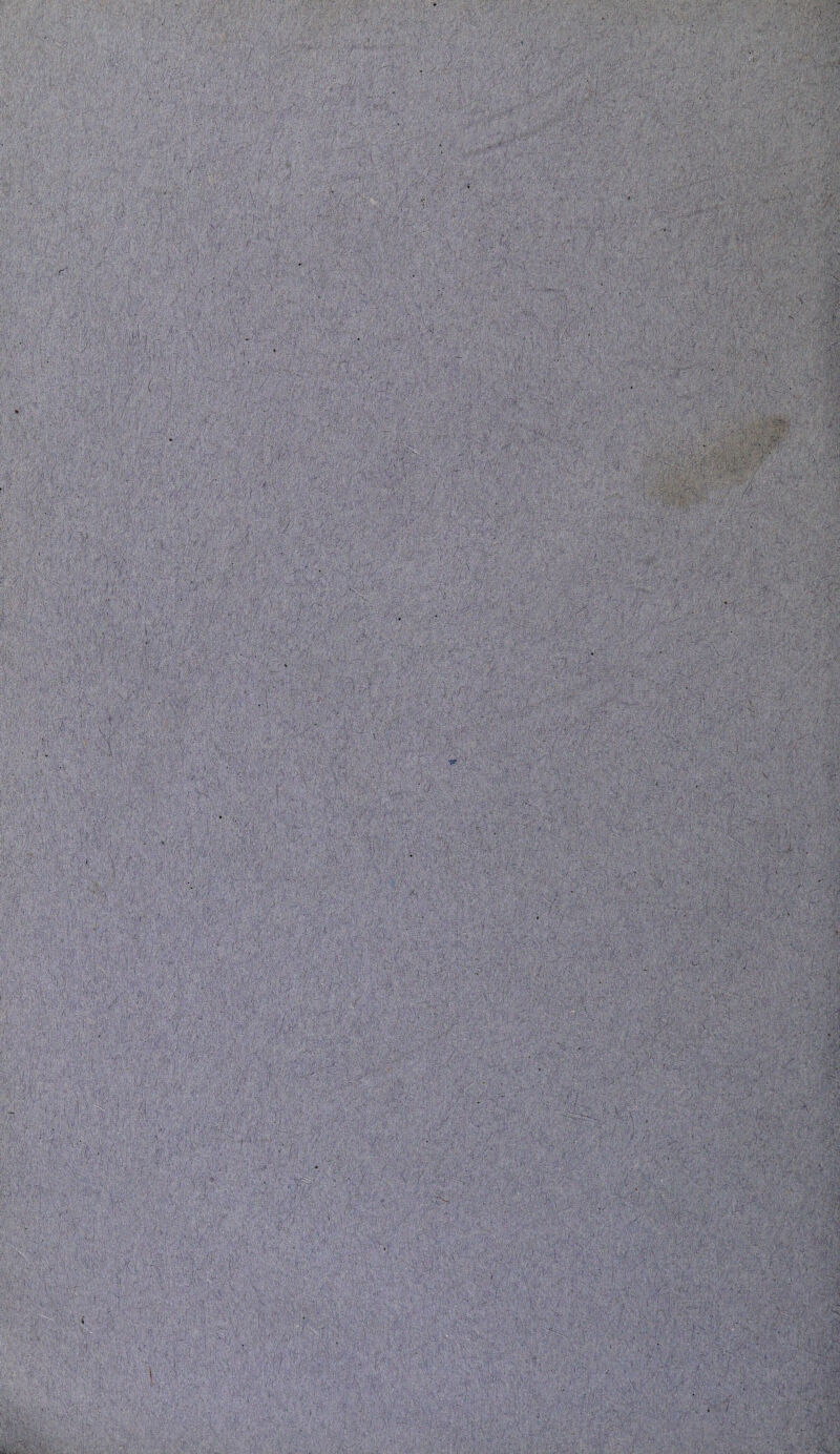 J'* ' ■ ;J- ■i '■ I ■'i ; '•‘7 X '.:i