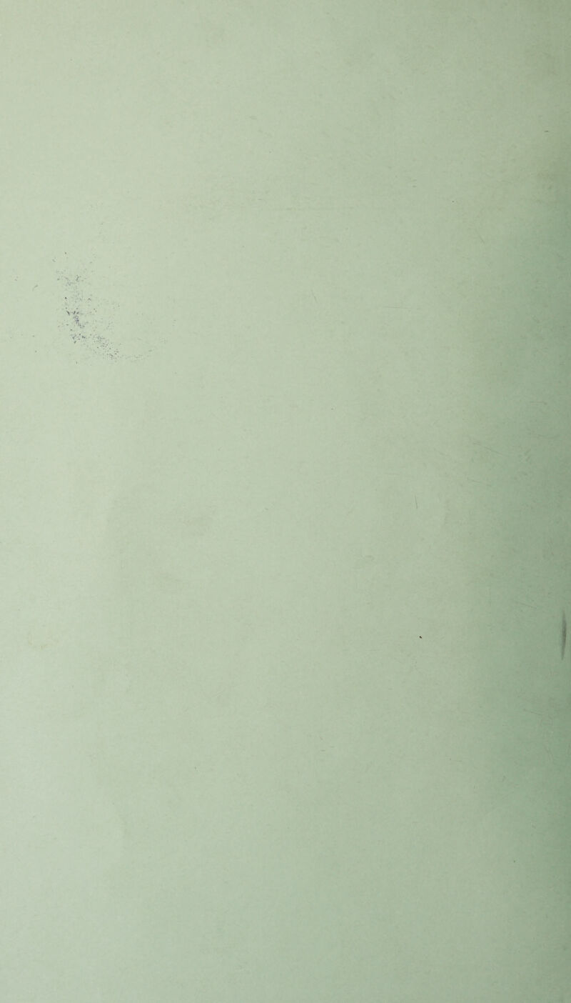 Vf» z jsrcvf'- - •i ' < V f • / -^J / > \ \ ) /• ‘ ih. 't.m ■A • -■_•!?.'V, A \ ' \ /: i- -• t,. •A V j / K