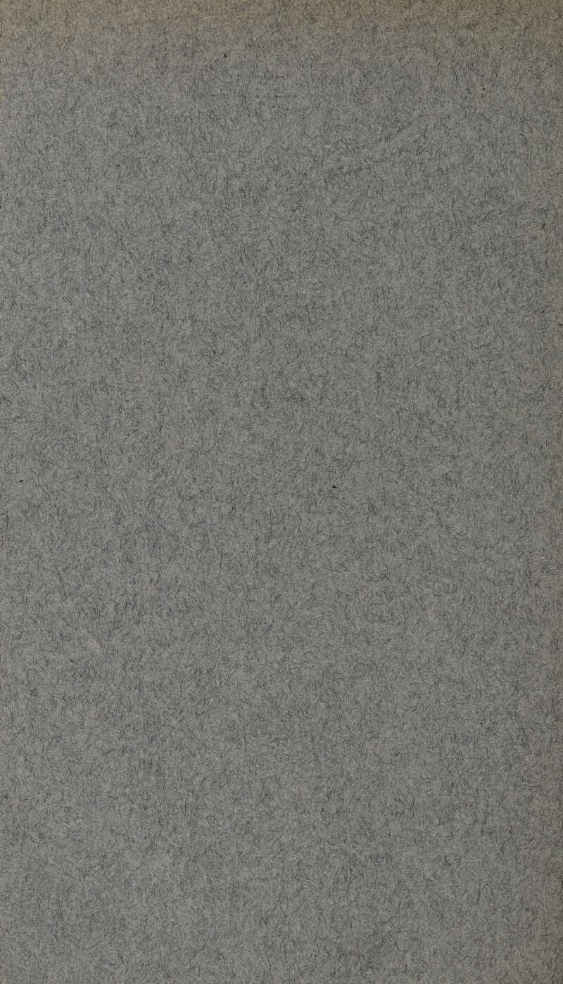 Biiaipii Kp i i ? \ ;& ■ i - puf* i ‘-■^n ; > , . - ' * , ...... V1: ■ - ■ --. , '■ * V\ .' i /■ S BWLv.,-:.' :,^.»f MMM—.. ■ g ■ m : W$k$i . . wmMm