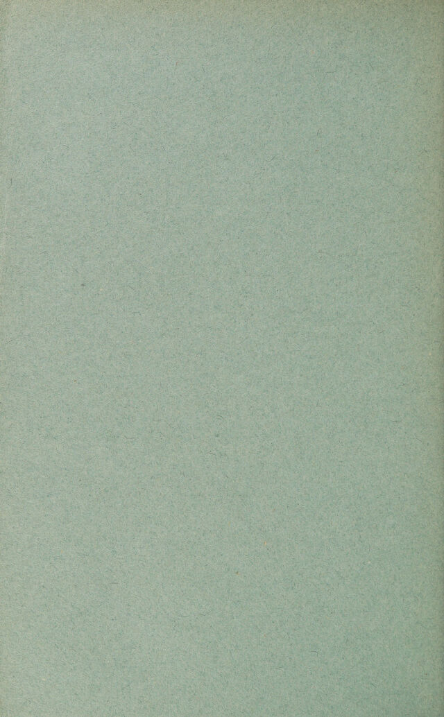 digitised image 2