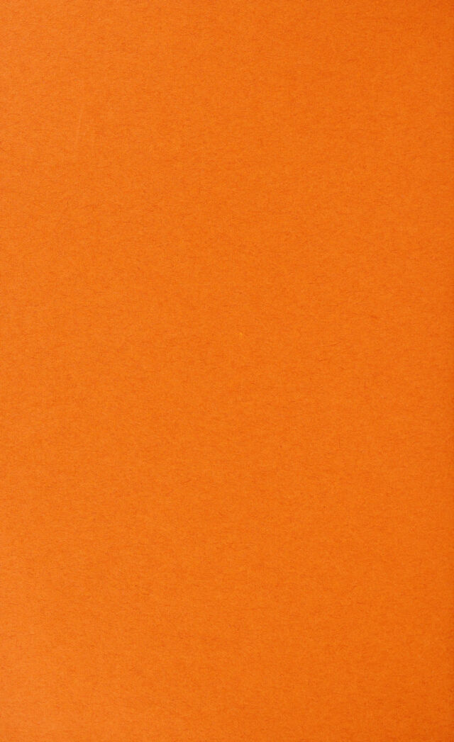 digitised image 2