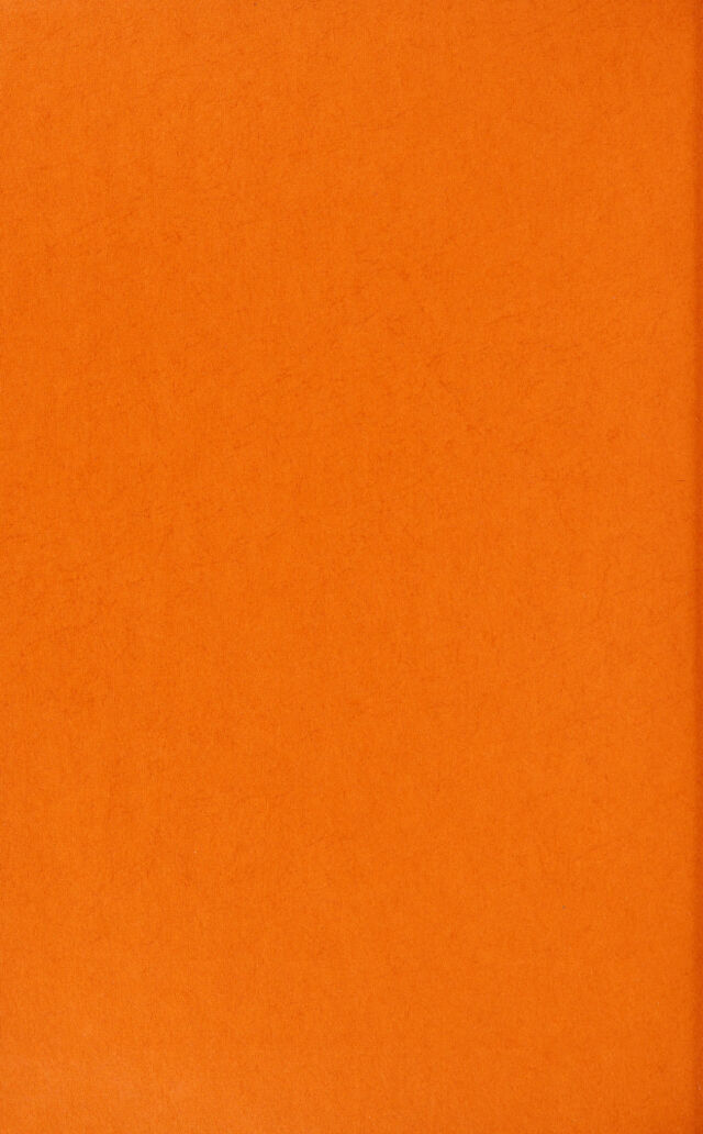 digitised image 2