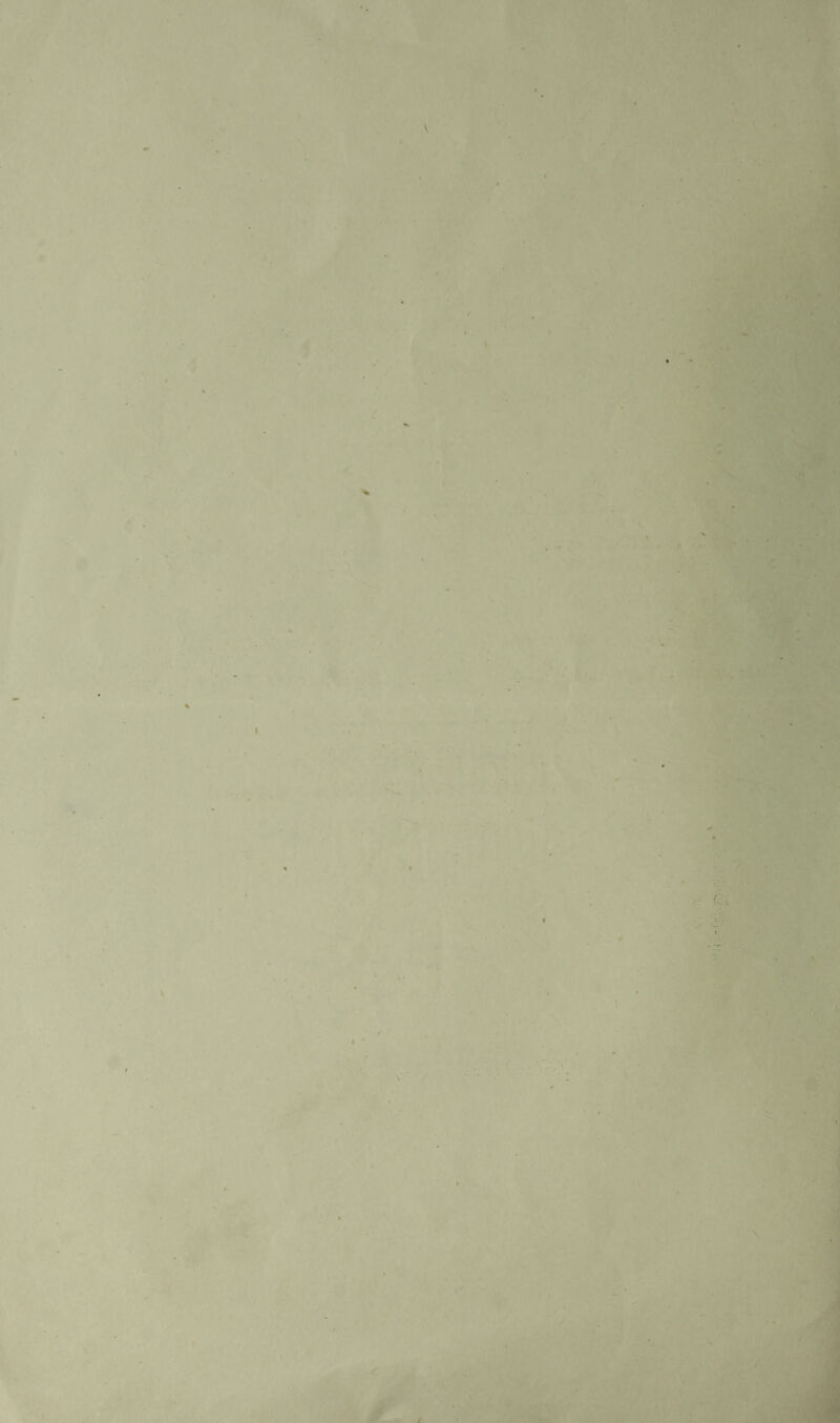 T t I y W \ « ts . • L V*' ' I ; .V ' <.! \ tA..r - KM i