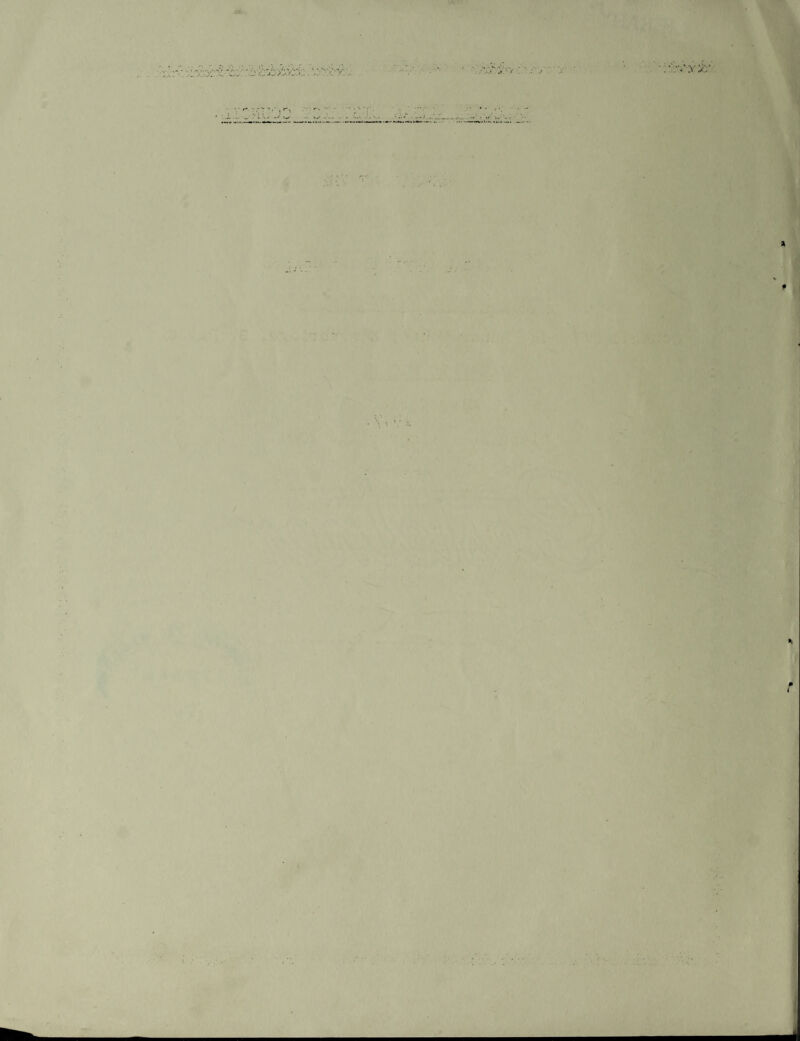 •v.v •' y . - . • J. t 1 y y X