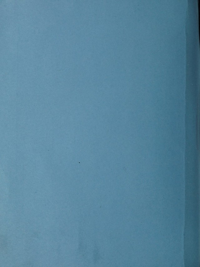 digitised image 2