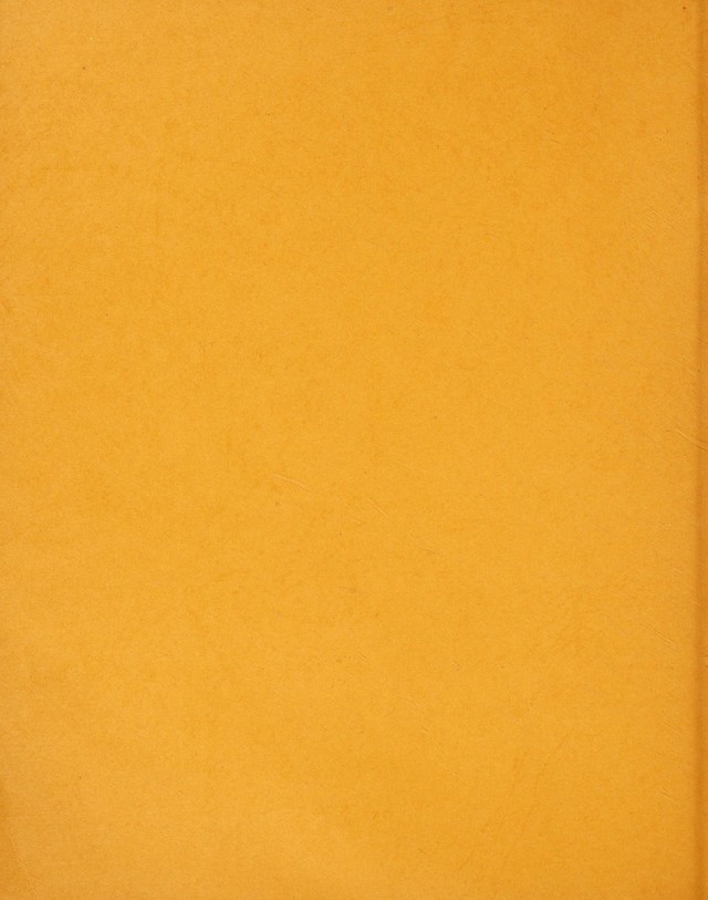 digitised image 2