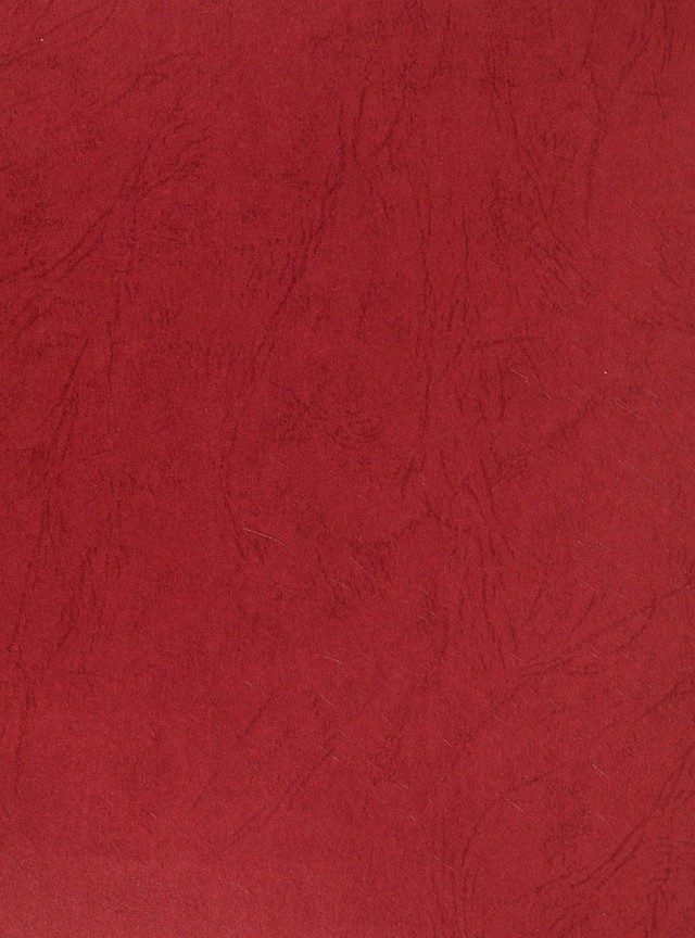 digitised image 2