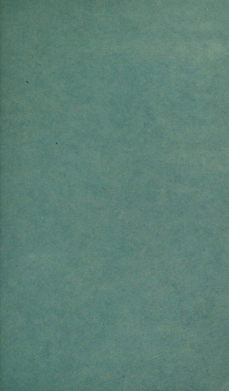 ' * vt . , V ;. ■■ . . , “