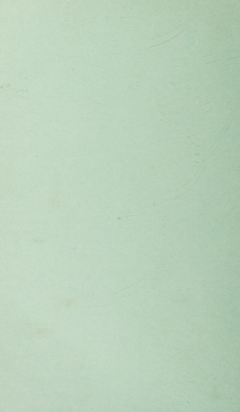 / \ s I S'