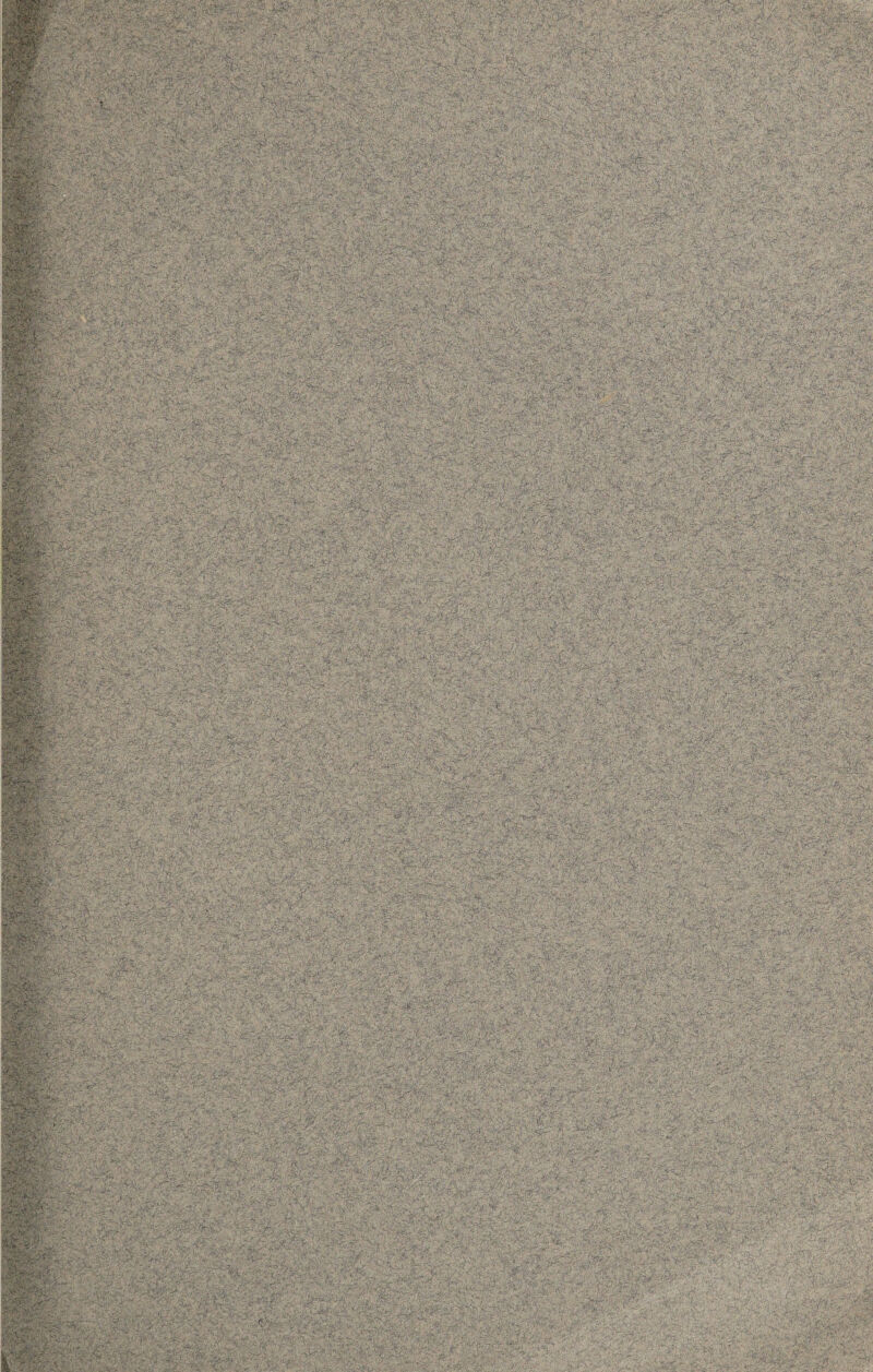 ^ <x' /*rV - ^ • , - ■ .: * - ^ ■ ■ llllsf lii#ipiWliii:« • ••■ . ' • '