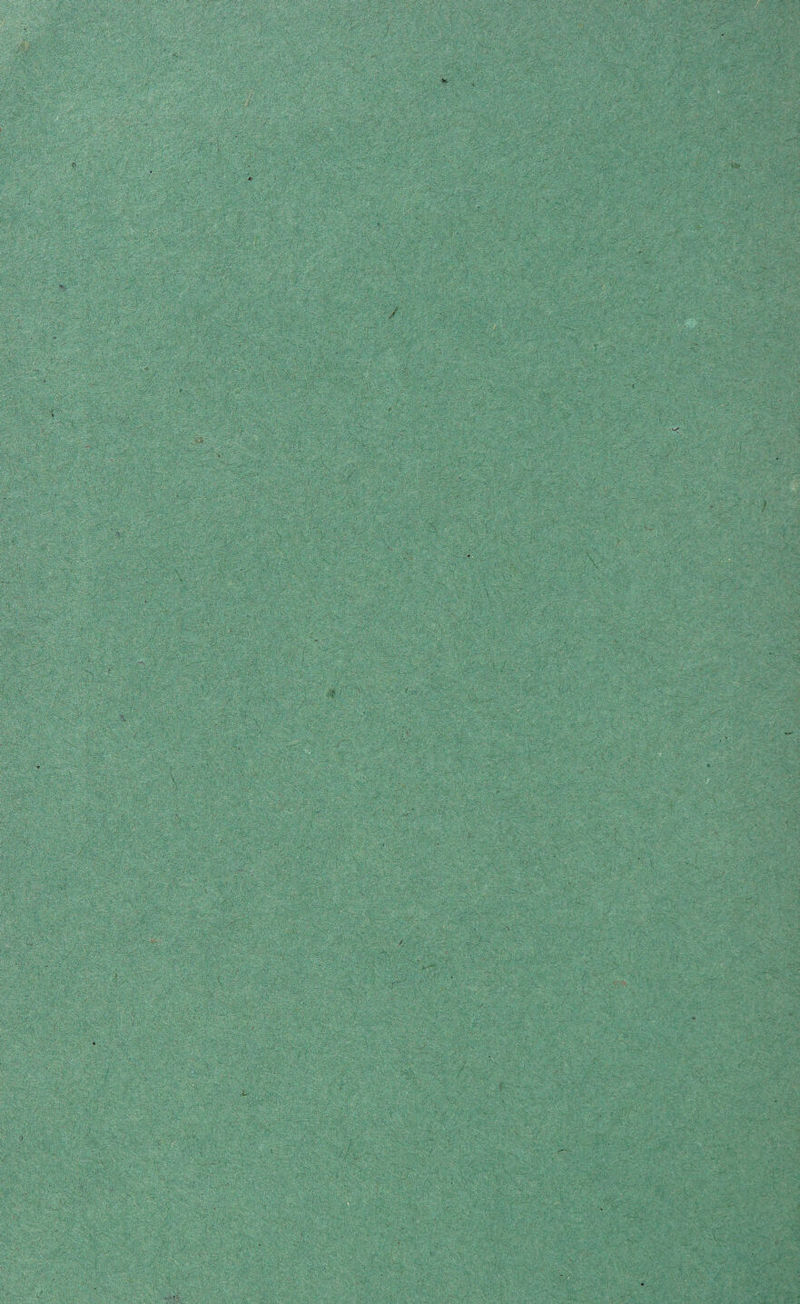 V / m ■■ . * v__' ' * . Y*n ■■_• 