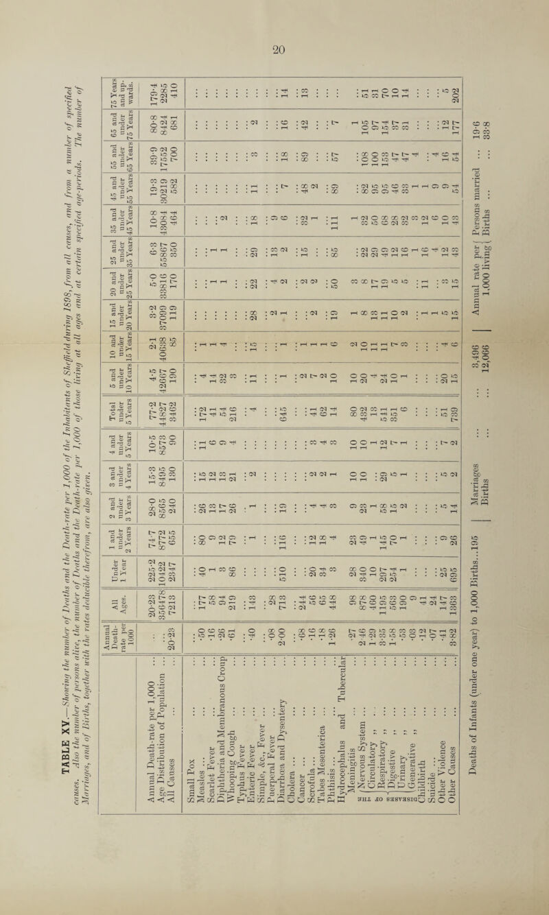 TABLE XV.—Showing the number of Deaths and the Death-rate per 1,000 of the Inhabitants of Sheffield during 1898, from all causes, and from a number of specified causes. Also the number of persons alive, the number of Deaths and the Death-rate per 1,000 of those living at all ages and at certain specified age-periods. The number of Marriages, and of Births, together with the rates deducible therefrom, are also given. 20 75 Years and up¬ wards. 179-4 2285 410 : • • • : : • • • Hi • co : : • • rH rH o o Hi • • : oc3 . . I.rH . rH . . • . O CO t>HH . . • O 03 65 and under 75 Years 80-8 8424 681 : • • : • :<m : : o : c3 • : t> h o h h h h • : : 03 . . .rH . • • O O 1C CO CO • • . rlt> rH rH rH 55 and under 65 Years 39-9 17552 700 • : • • • • co : :go : 0 : : i> : go 0 co t-^ -ich . . . rH .GO . .O . O O O Hi ^ . rH O H H H 45 and under 55 Years 19-3 30219 582 * • * • : * rH • * t> * CO CM • O ’^ICiOOCOnHOOH .. rH . . .Hi .GO . CO CC CC Hi co *o 35 and under 45 Years 10-8 43084 464 ; : : 03 • *00 :oo :o3th : rn hcmooooootcocmooco . . . . * rH . .CO .rH CO CD 03 CO rH H h rH 25 and under 35 Years CO O O cM O xo ^ X X iO 10 : : rH rH \ \ CC ; CO 03 : : O :03QQ(MOHOi(MC0 . . . . C3 » rH • rH . . 00 • C3 03 Hi rH rH rH rH Hi 20 and under 25 Years 5-0 33816 170 : : rH rn : ; 03 :^G3 : 03 03 : 0 coooi^ooxo : rn ;co*o • . • • 03 • • * IO rH rH • rH rH 15 and under 20 Years 3-2 37099 119 H GO ic CO GO O Hi |H HH • *0 ; JrH ; rH rH rH O 03 O H H 00 ; | . . • rH . . • rH rH rH • • 5 and under 10 Years, 4-5 42667 190 : Hi Hi C3 CO : rH ; * rH | 03 l> 03 O O O Hi Hi O rH • ; • o O . rH 00 . rH . • • rH rH 03 03 rH . . . 03 rH CO o> c3 £ ^ .© : kh ' uo OU>(M J o E: oo -i L Hi X cq h ^ o t>^ ICl H rH 03 o : ;ncq O 03 co h h o rH . . ^ c H 00 CO T—I ^ O O Tti loco r—I o O CO r> T3 ! cS : a> i H © c3 ^ <D H1 iO CO o nt-ro S 10 ac‘ co « o ci co -n ,-H 00 o . rH o o Hi : : : : : : ; co ^ co O O H 03 t' H t— 03 id 03 CO ■ 03 03 03 03 o o O O r—I 03 O 03 2 and under 3 Yrears 28-0 8565 240 : cd co t>o .rH : : co : : Hi Hi co qcohooiow : ; : 10 Hi • 03 rH rH 03 * * rH • • 03 ^C0 rH • . . rH 1 and under 2 Years 74-7 8772 655 •00030 * rH • * O * • C3 GO CO O H O o H • • • O O • X HI> . . . rH . • rH rH 03 ^ Hi t> .11 03 rH rH Under 1 Year 225-2 10422 2347 •oh coo : : : : o : :o^ico x oo^in • • • o 10 .Hi x .... rn .. 03 x to h h q ic : ; :^o 1C X 03 03 O All Ages. X 03 Hi rH 6 o <03 ^ CO ' h 17 O '—1 :ni • 03 rH ; h l-C CD Hi OL^OOOO Hi 03 CD . rH 03. rH. I> . 03 Hi X Hi H lO rH rHX rH rH Annual Death- rate per 1000 20-28 OOOrH o X O X OX O h O O 1*7 X X X 53 1> H 03 : ic H Cl CD : Hi : o o :cdhhoi G3H03X1C1.7 0HOHX 03 * rH 03 rH X rH X o .a g * *H O o g a ■v o r3 ’-3 -H> H a? r= i g : i—■ 5 Q o <3 f-t c3 <D rO . O g O) !>* S-H <D S3 <d CD CC 2 M o S ® . < <5 <l Jd fco X o PM > c5 ; 0) : a 0^5-1 -H CD CD > > CD CD cc o I <D 1 > i CD £h c3 a cn^m Qa H o ;z H ^3 C ^ O ce 0^-^ o • jr ►->. c2 r4 CD CC 8 r~] c3 5H c3 , ^ i-i CD <D e4—1 1 r- CD c3 O O P o -a ce o rH s O O X c3 O CD a .s W-S © -a r-O c3 43 CC cd a o c £ a CD ~ ~ -t-=> CC co g CC -4-3 P ce o hd O CD o c3 .a a -4-=> h tc C3 OM O £ cc bn*-^ cd - a . a CD > a p j ^ S -s § 3, ^^!z;op5QPc5 ' ■ --Y-' hi 3hx jo sasvasiao co O O Deaths of Infants (under one year) to 1,000 Births...195 Marriages ... ... 3,496 Annual rate per] Persons married ... 19-6 Births ... ... 12,066 1,000 living I Births ... ... 33-8