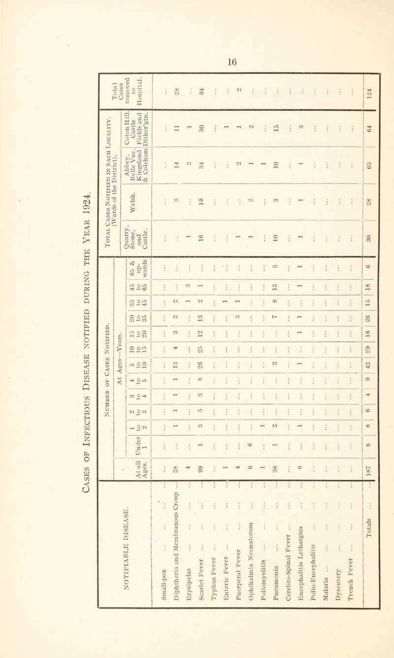 Cases of Infectious Disease notified during the Year 1924.