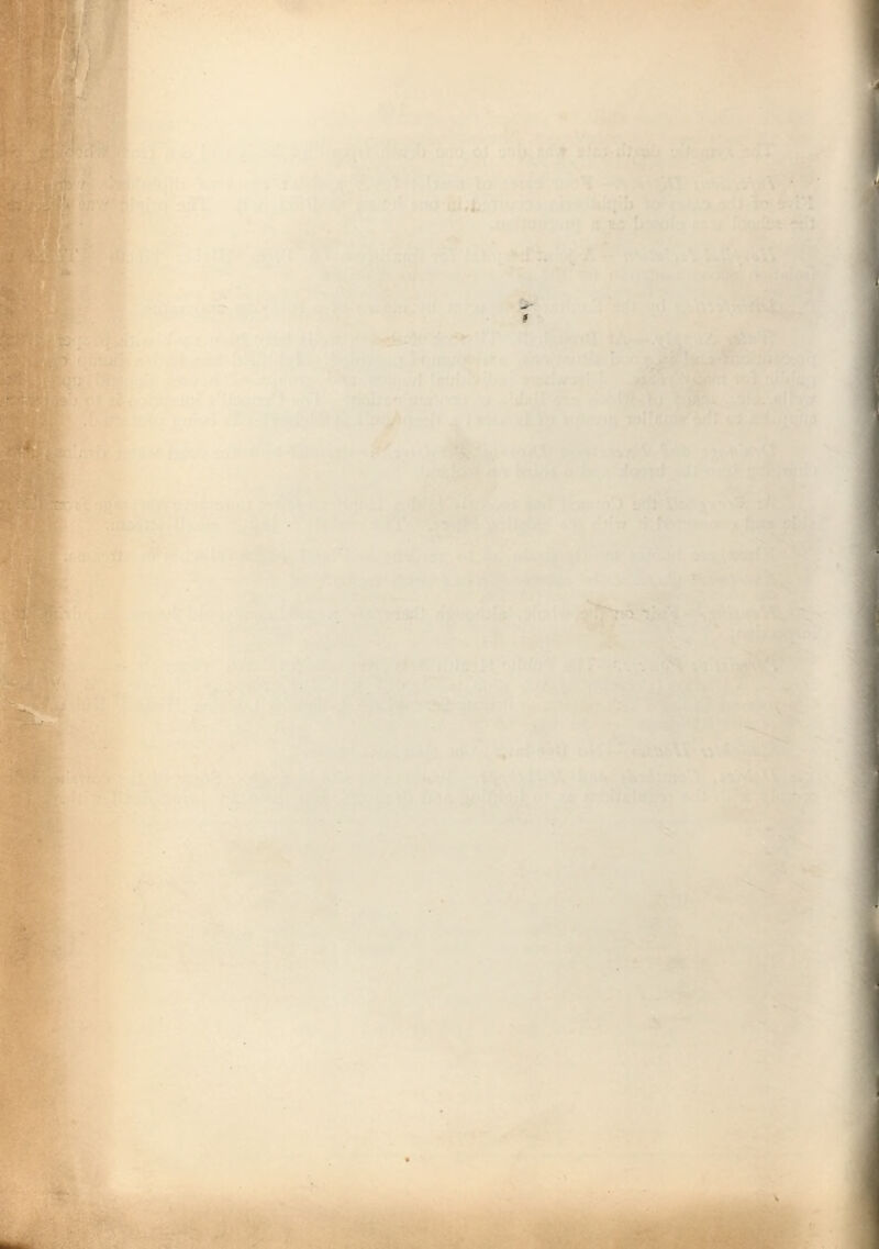 *'t ^ fc,^ ■ - b^u v r..- '•'s-’ll B-T* ■ ■ -v.i •■-r. ,T. wt— . .t-,. - J'. ^:-?tt>:v;’, '.:. r' •K^ ft-..' ^'' - ,'/'^-■ '' ;-A^ '■• [ft” (/!'.:.' -rVi ^ X' f-.v. ,■. ;■ 'V<lf • ■ - !« ■'i'- ^ ■ '^•- ■' •  . Ati . . .*