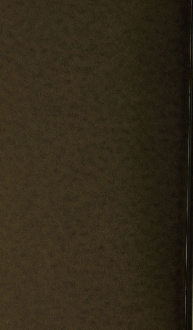 digitised image 2