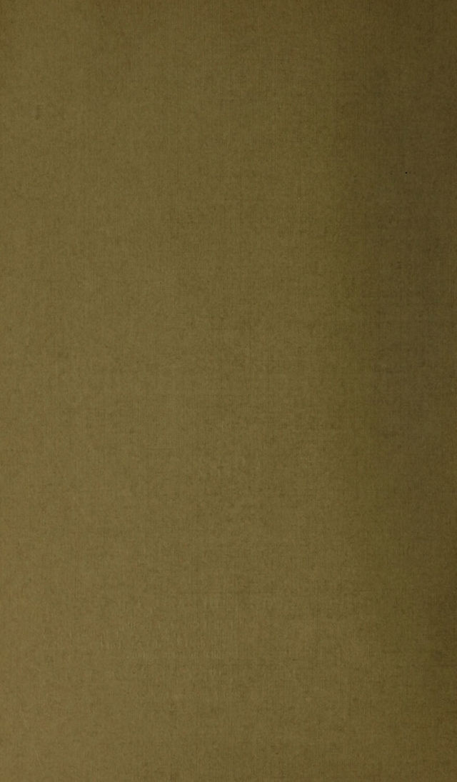 digitised image 2