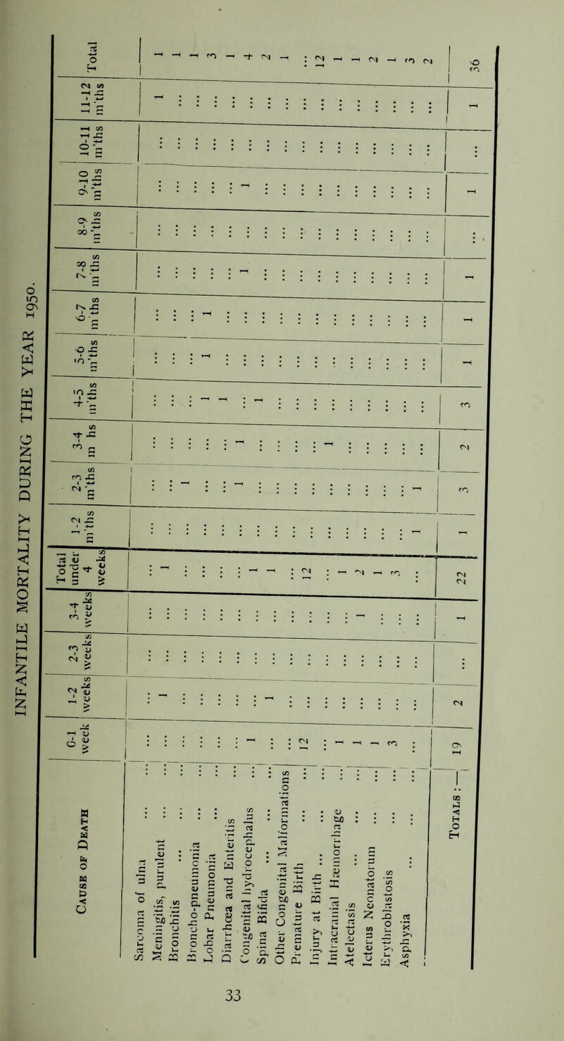 INFANTILE MORTALITY DURING THE YEAR : —- fO 6 > O' -O C sc o »o On o •■ O £ • O V Totals: