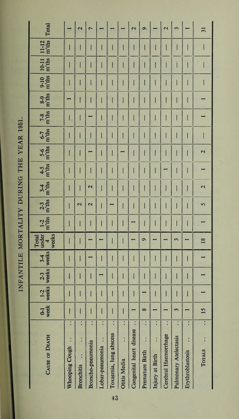 INFANTILE MORTALITY DURING THE YEAR 1951.