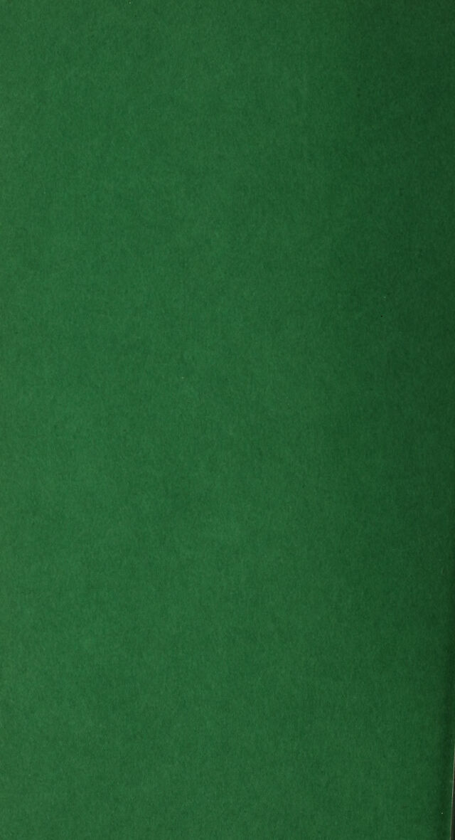 digitised image 2