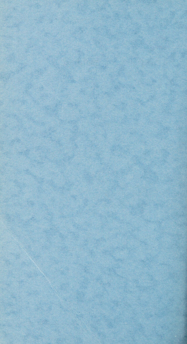 digitised image 2
