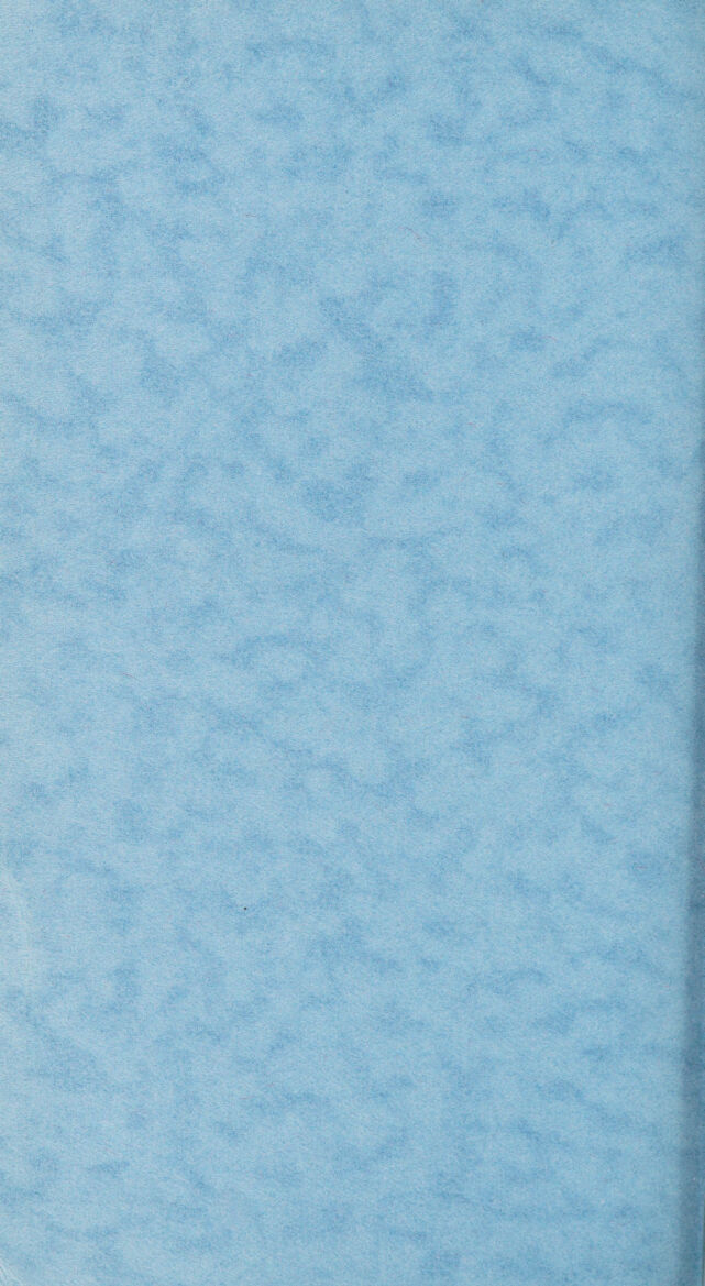 digitised image 2