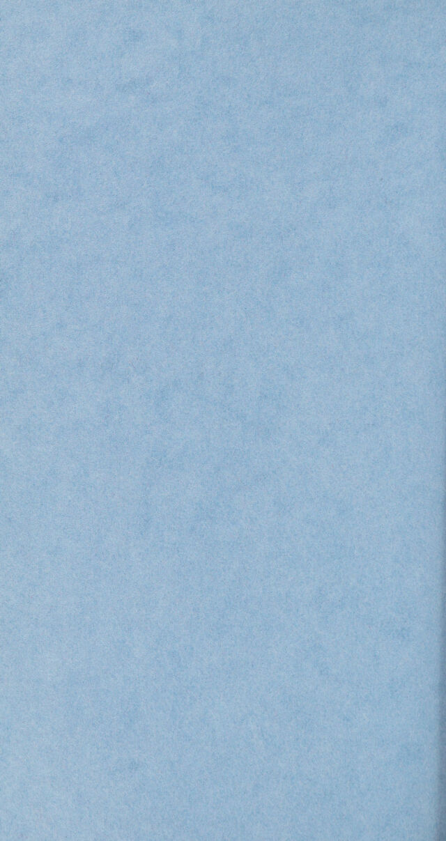 digitised image 2