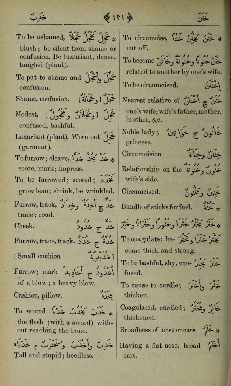 >^c> To be ashamed, j.^ ^ blush ; be silent from shame or confusion. Be luxuriant, dense, tangled (plant). To put to shame and confusion. o Shame, confusion. [ a.\V^_j 1 Modest, confused, bashful. Luxuriant (plant). Worn out (garment). To furrow; cleave, \j<o. ^ score, mark; impress. To be furrowed; scored; grow lean; shrink, be Avrinkled. J- ^ t ^ Furrow, track, ^ j.i> trace; road. OllGck* ^ Furrow, trace, track. ^ ^ 0-' > 4.. J> 1 To circumcise, cut off. To DBCOme «y^CT^ related to another by one’s wife. '’y e yy To be circumcised. Nearest relative of ^ v>‘ one’s Avife; wife’s father, mother, brother, &,c. ^ ^ > y Noble lady ; qc \ [Small cushion Furrow; mark of a blow; a heavy bloAv. 0^ t Cushion, pilloAv. To wound ^ the flesh (Avith a sword) Avitli- ont reaching the bone. kV.Jc> r Tall and stupid; heedless. princess. Circumcision •yy y . y Relationship on the Avife’s side. Circumcised. Bundle of sticks for fuel. ^ y y yy ^ ^oy .-^d ^ yy ..l . \.\^». \ •• \ * • '* -v> • To coagulate; be- come thick and strong. To be b< fused. • y yy To be bashful, shy, con- j\i. To cause to curdle; thicken. flfy A , Coagulated, curdled; thickened. ^’'i> .li. Broadness of nose or ears. -w- •r • j'’*® \ Having a flat nose, broad ears.
